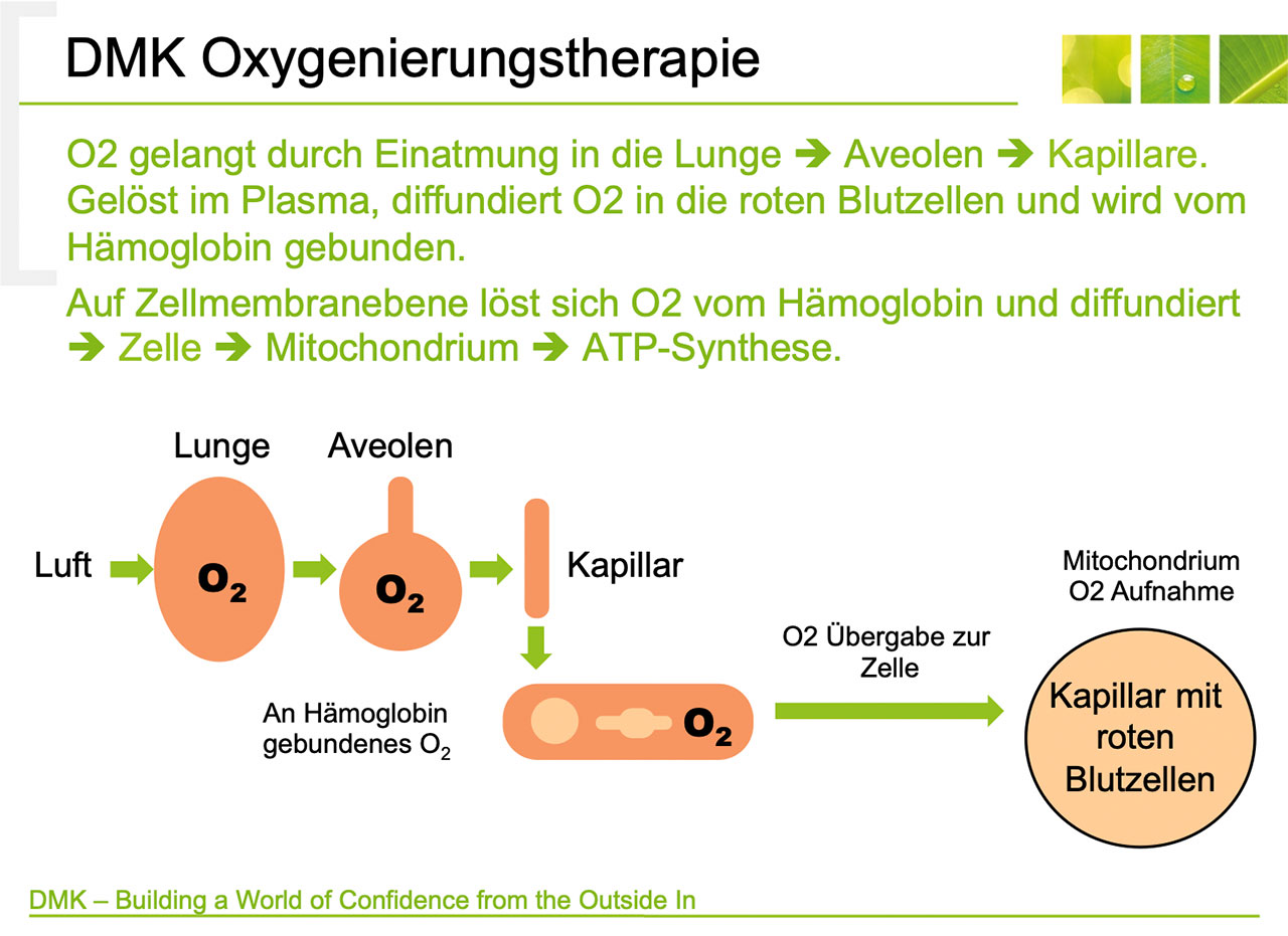 Sauerstoff - Lebenselixier + altbewährtes Therapeutikum